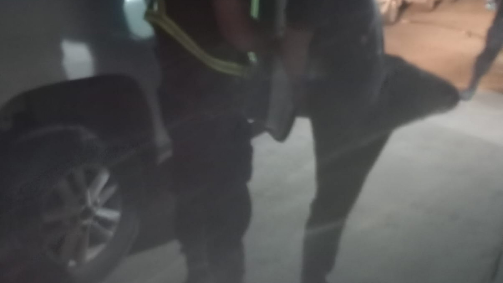 Adolescente de 17 años golpeó a su madre y a un policía