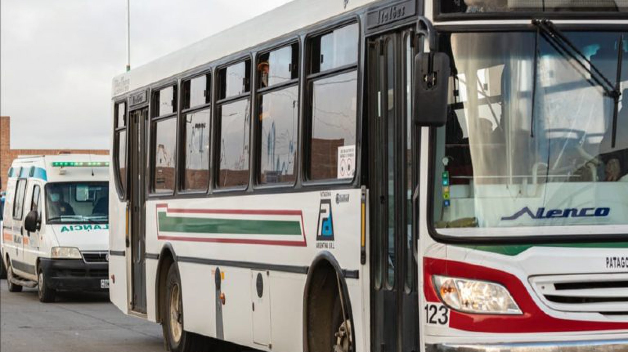 Transporte público en Comodoro: actualización del servicio de colectivos