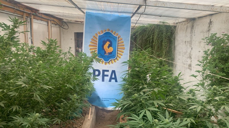 Allanamientos por narcomenudeo en Puerto Deseado: secuestran marihuana, armas y dinero