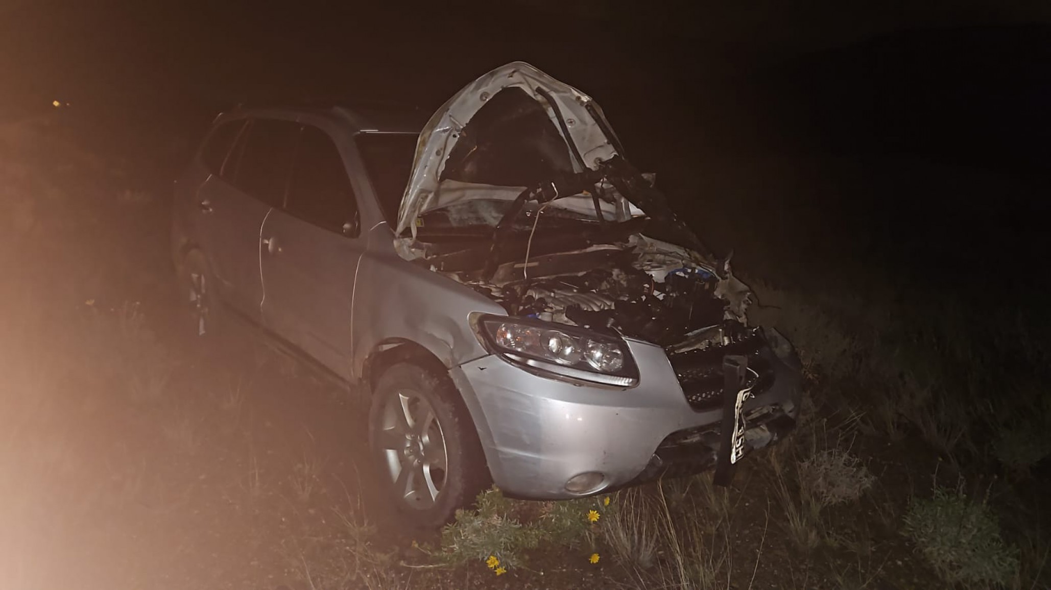 Accidente en Diadema: un auto chocó contra un caballo suelto y reaviva el reclamo por controles