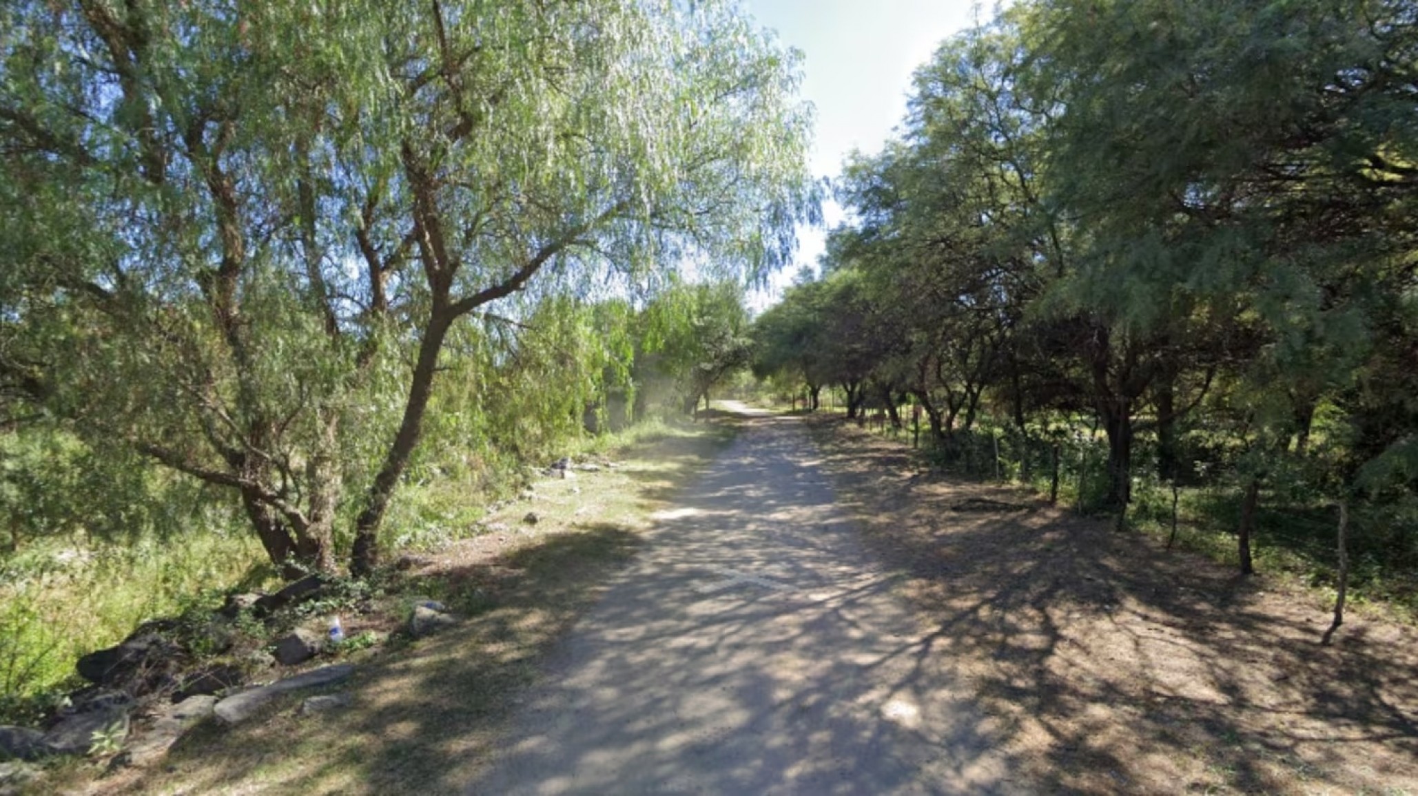 Córdoba: Un jubilado de 71 años murió sepultado por rocas al intentar sacar un panal de abejas