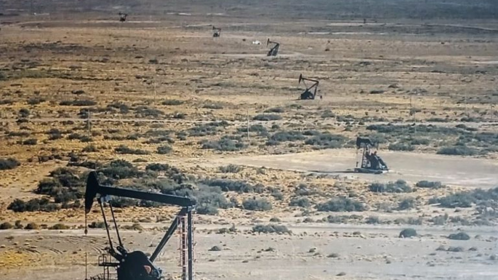 Cámara de Empresas Regionales: Macharashvili perdió las elecciones con Rodrigo