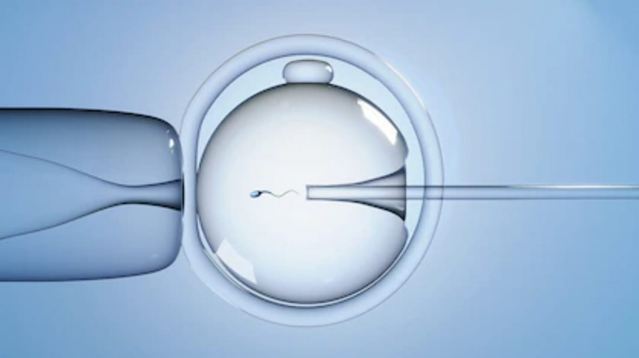 Nació el primer bebé concebido por fertilización in vitro controlada por inteligencia artificial