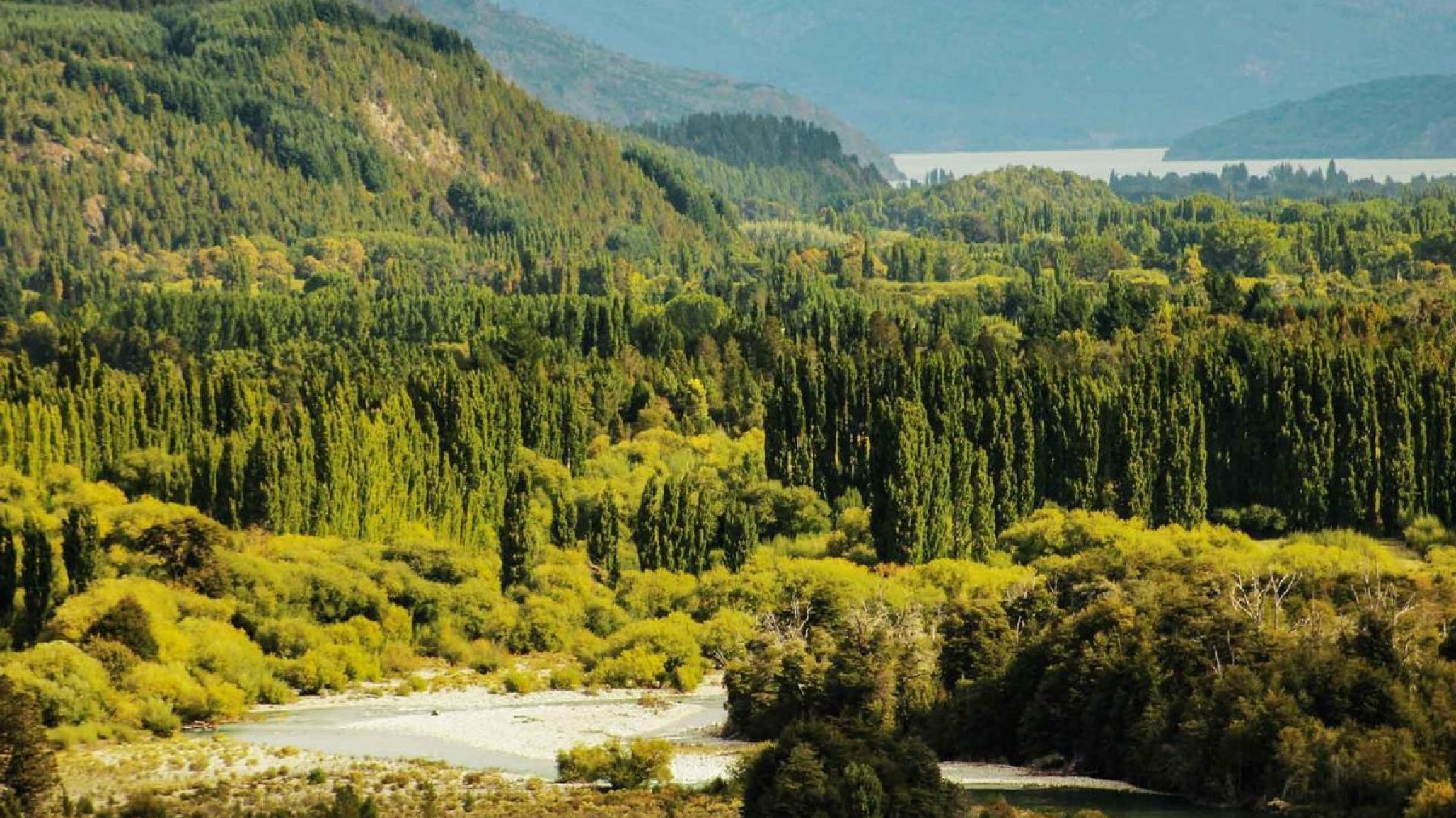 Arbilla sobre la nueva Ley de Bosques Nativos: "Los bosques son del estado provincial y tenemos la responsabilidad de preservarlos"