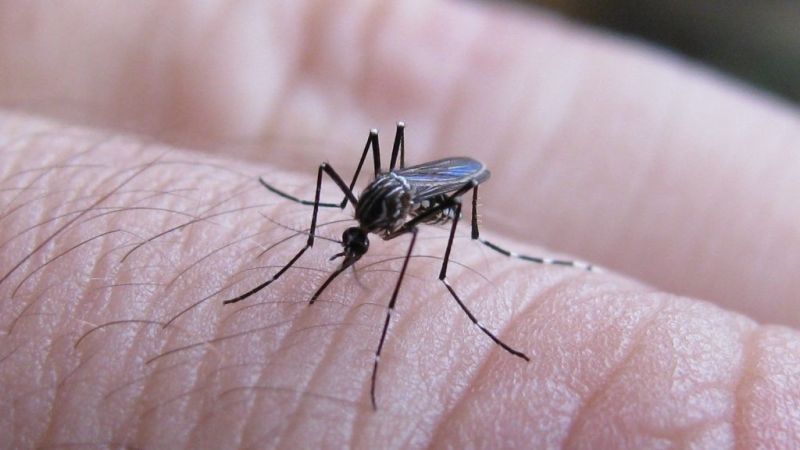 Segunda muerte por dengue en Santa Fe