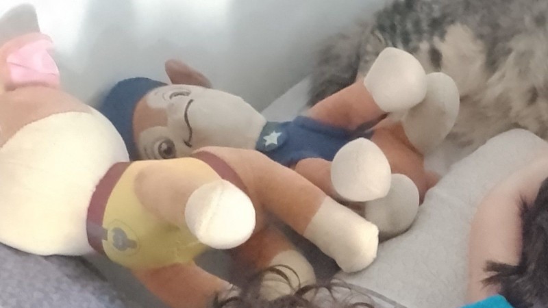 Un nene perdió su peluche favorito afuera de la Clínica Pueyrredón y piden ayuda para encontrarlo