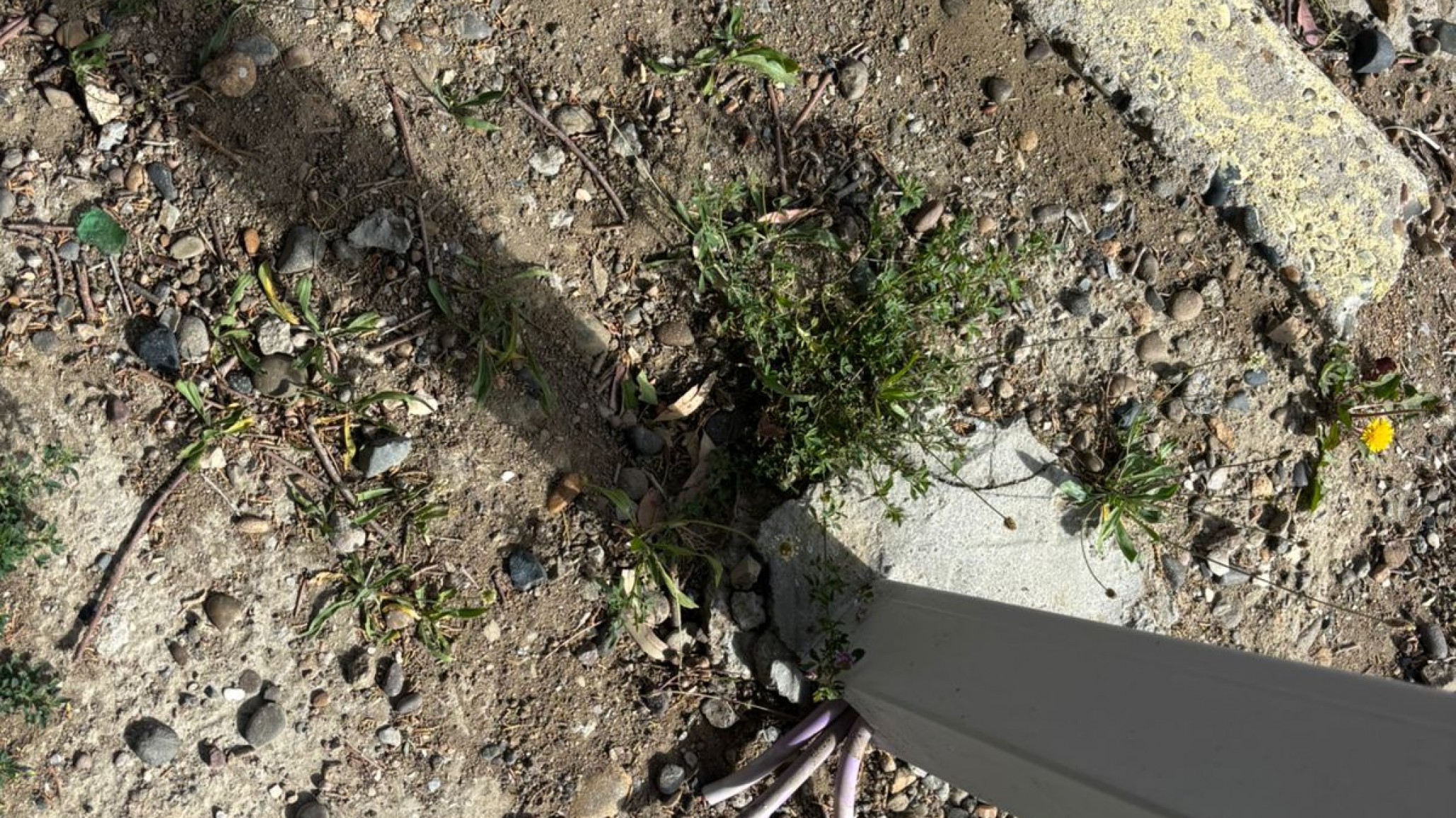 Robaron 500 metros de cableado en el paseo Stella Maris y ya suman más de 3.200 metros en lo que va del año