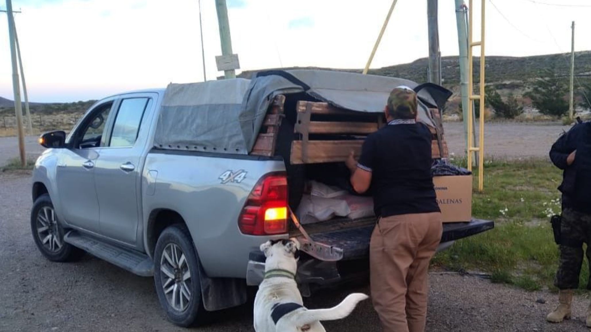 Transportaban gallinas vivas y carne de jabalí sin habilitación