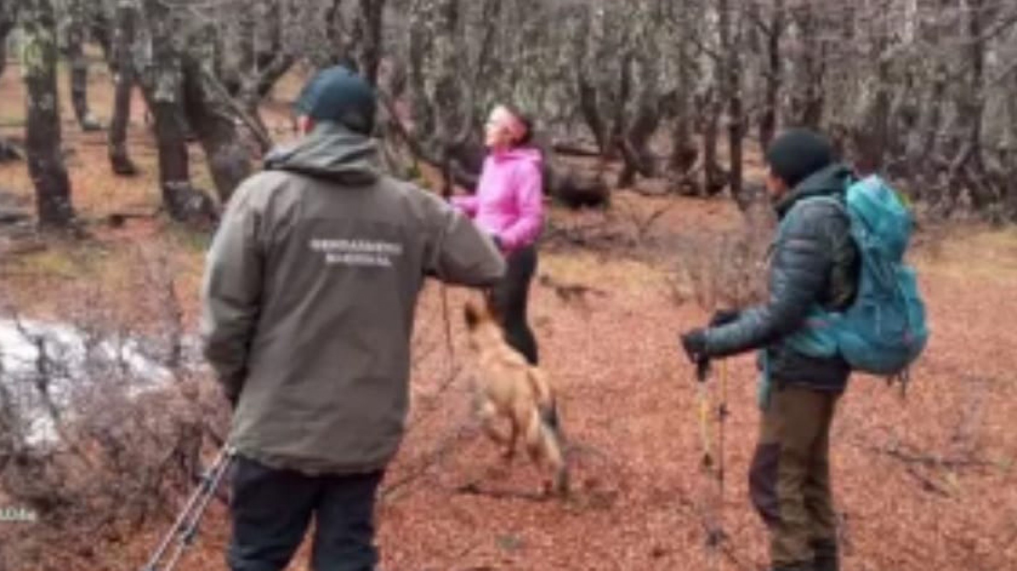 Dos mujeres perdidas en El Bolsón: salieron a caminar y no regresaron al refugio Cerro Lindo