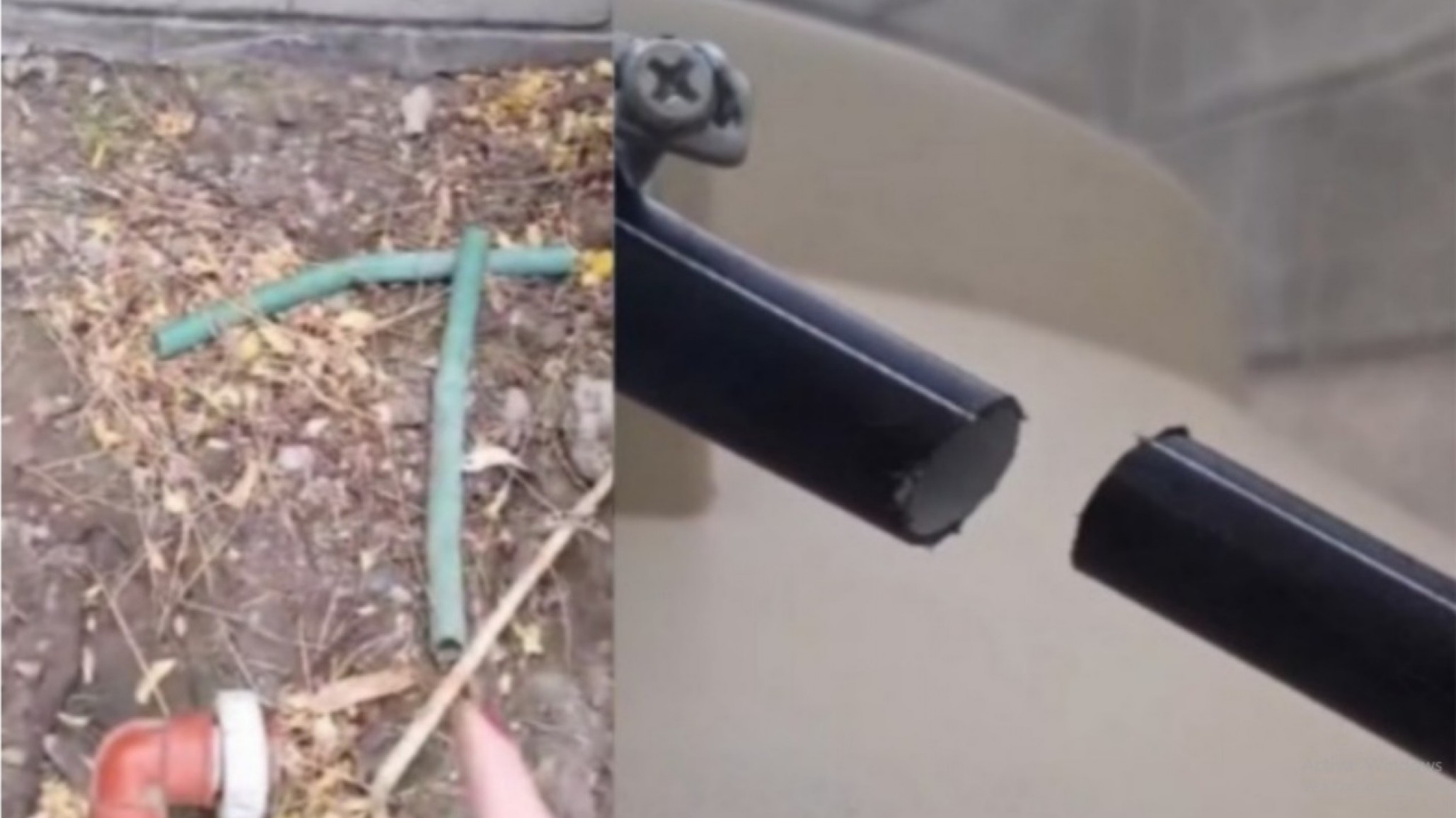 Vandalismo e intento de robo en la Biblioteca Sofía Moll: "Necesitamos compromiso de la comunidad y seguridad"