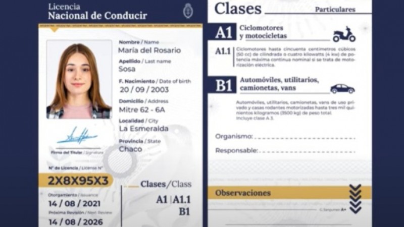 Decepción con el carnet digital: la mayoría de los conductores debe seguir haciendo el trámite presencialmente
