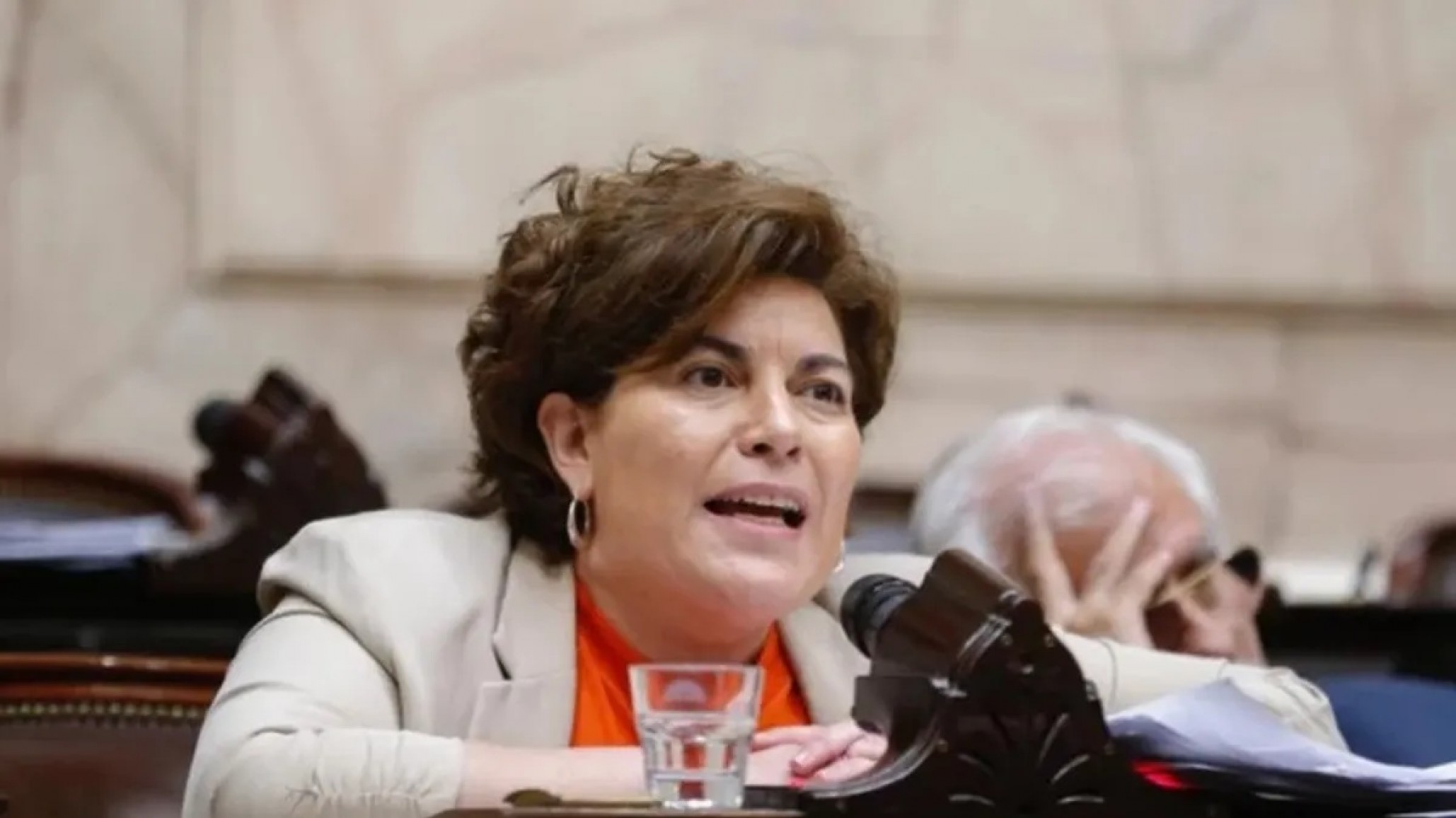 Ana Clara Romero luego de que el PRO no diera quorum para el aumento de jubilaciones: "El proyecto tiene un costo fiscal muy alto"