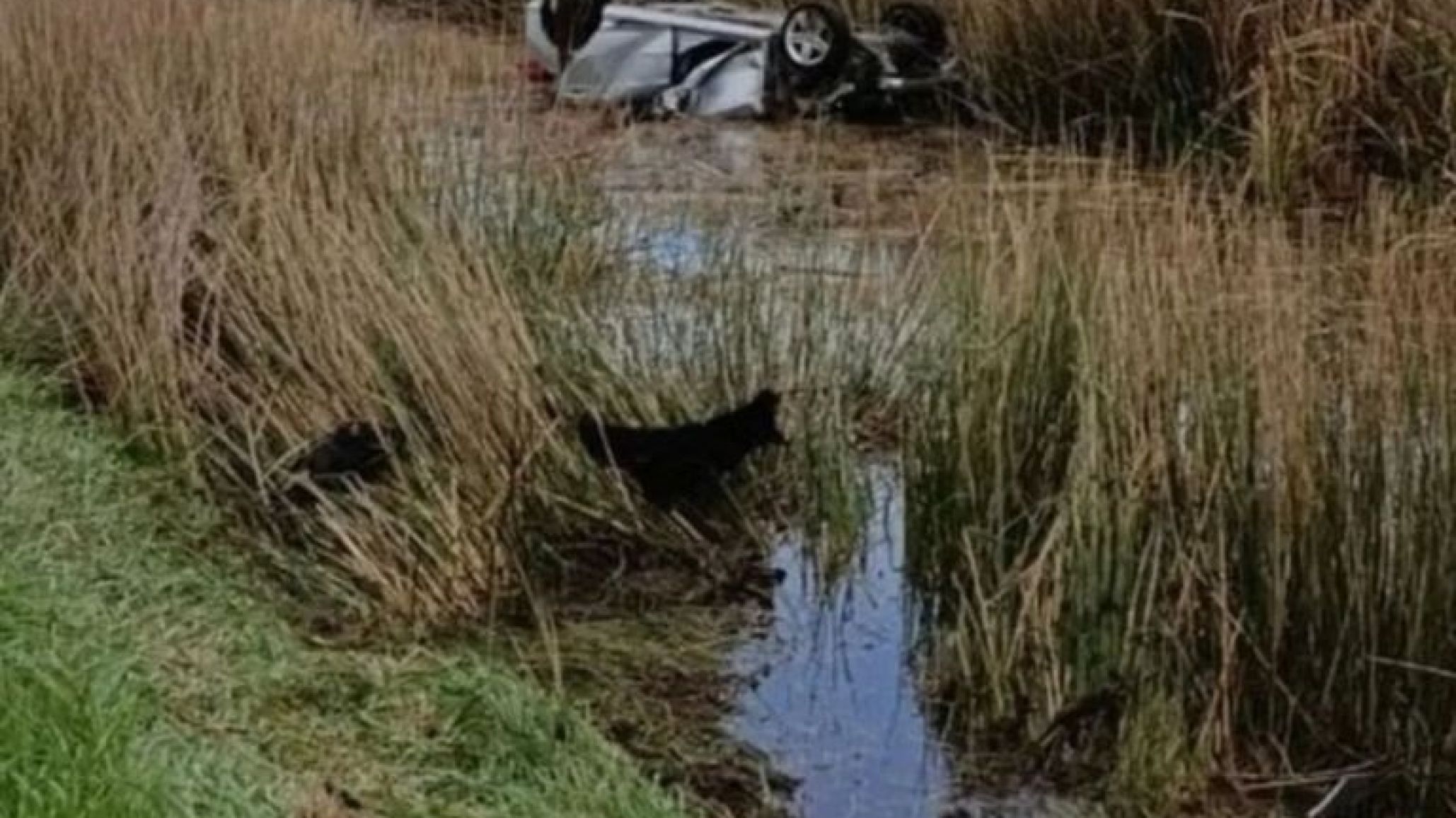 Un matrimonio de jubilados murió ahogado tras volcar en una banquina inundada por las lluvias