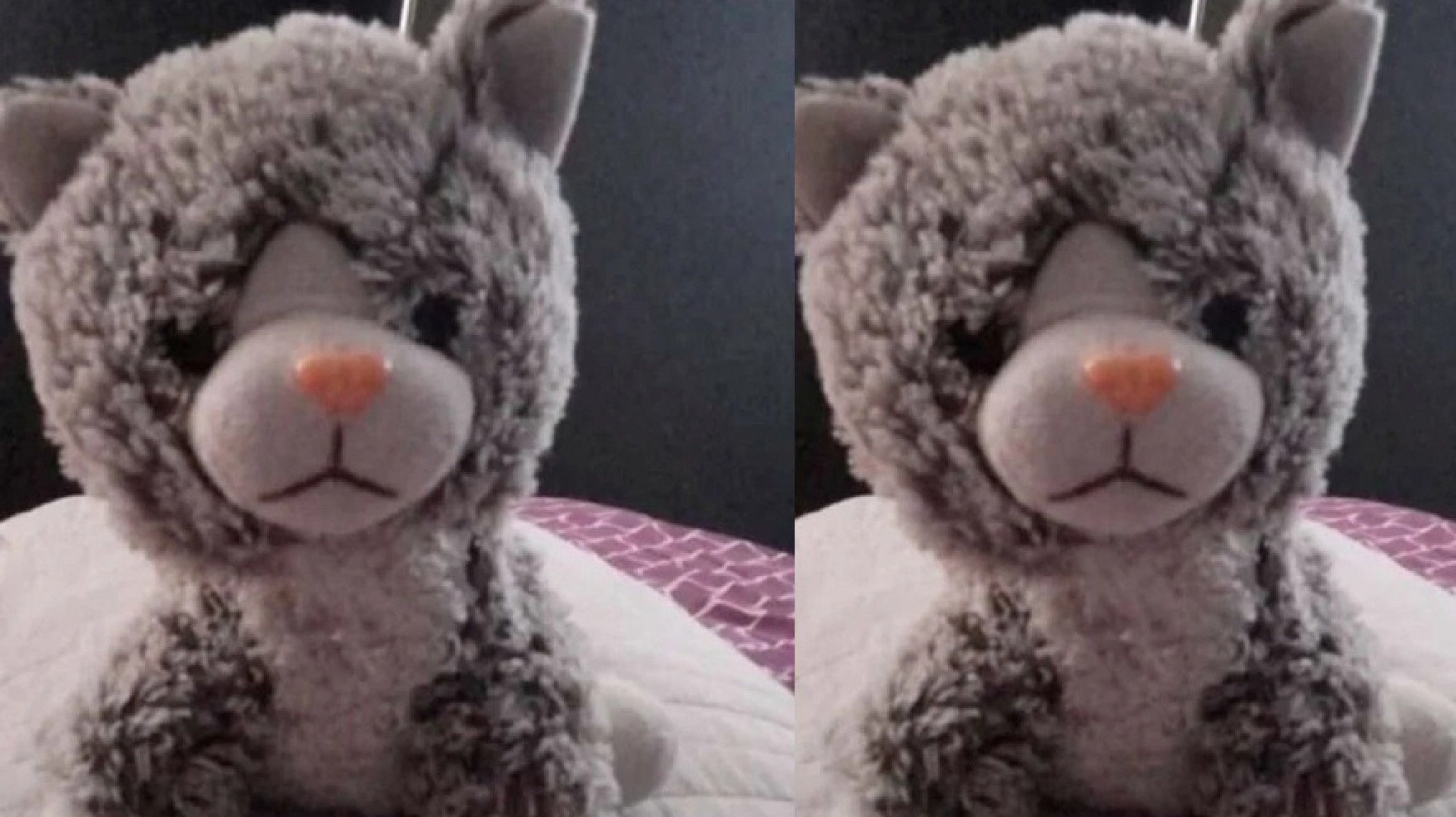 Extorsión por un peluche de apego: una familia tuvo que pagar $200.000 para recuperar el juguete de su hijo con TEA