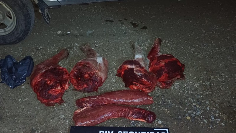 Interceptaron a dos hombres con un guanaco faenado y los perros que usaron para cazarlo