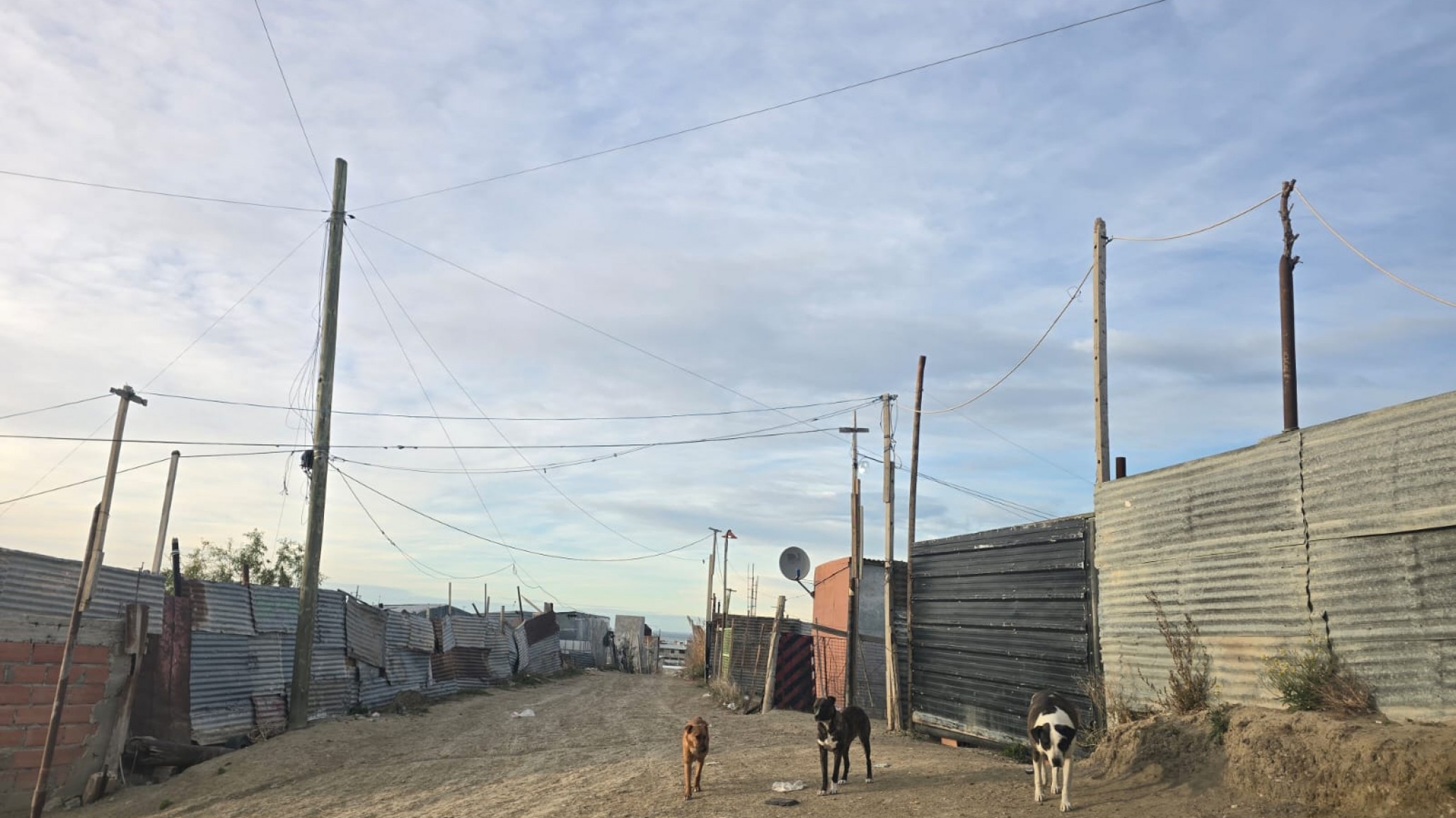 Vecina de Comodoro denuncia violencia por parte de tres familias del barrio: "No podemos dormir, vivimos con miedo"