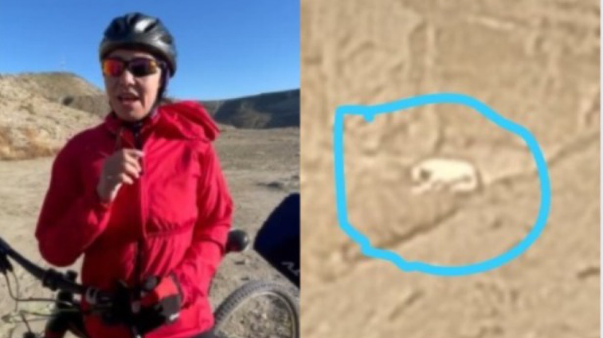 Vecinos pidieron ayuda por un perro atrapado en el Cerro Chenque: "Pensábamos bajar pero era peligroso"