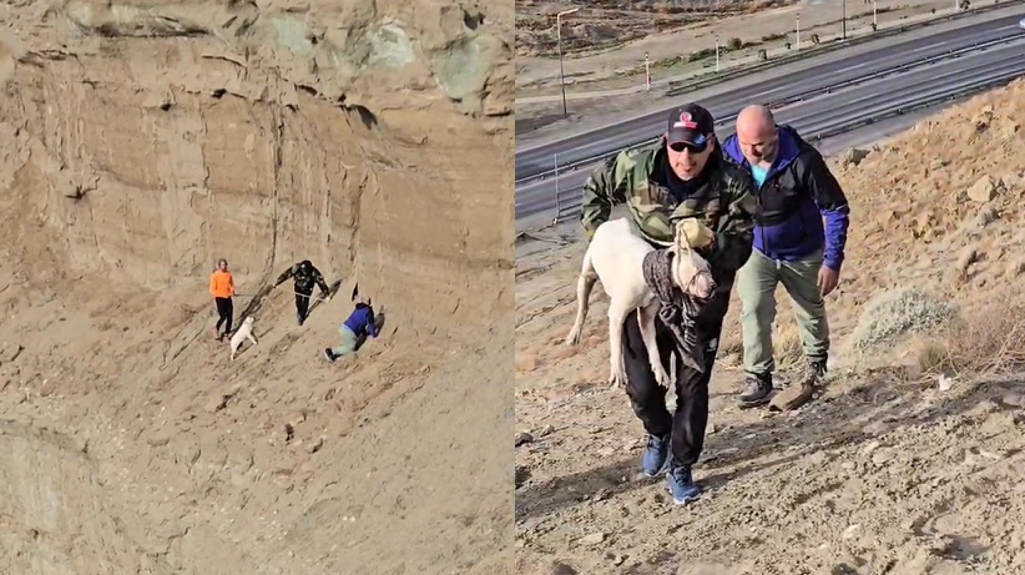 Final feliz en el Chenque: lograron rescatar al perro atrapado en una zona de derrumbe