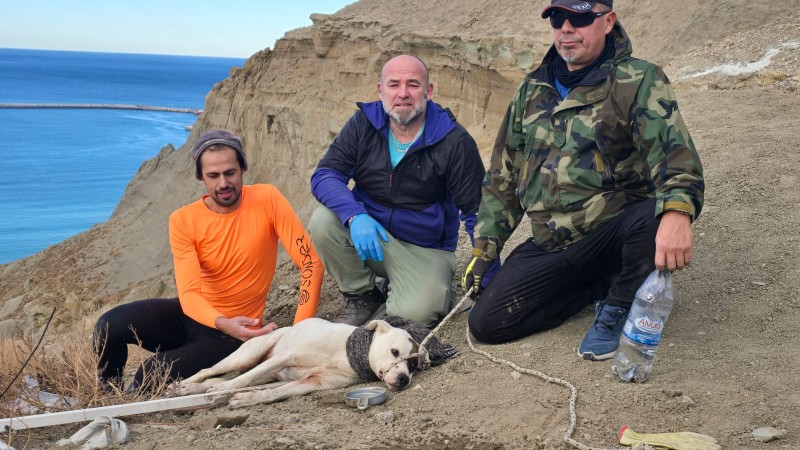 Final feliz en el Chenque: lograron rescatar al perro atrapado en una zona de derrumbe