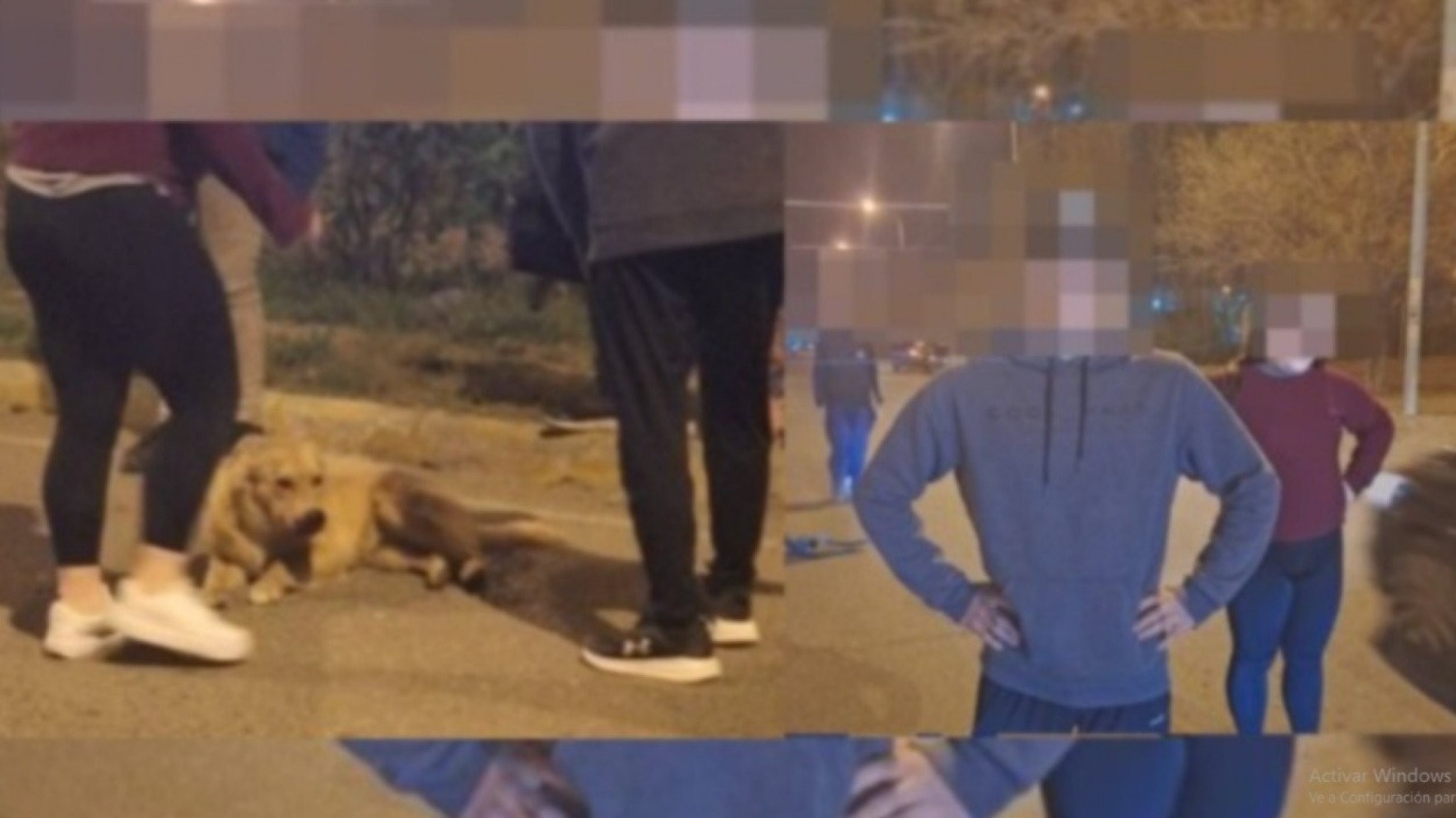 La vecina que denunció el atropello de un perro pide medidas de seguridad vial: "no lo asistió, el perro levantó su cabecita y luego murió"