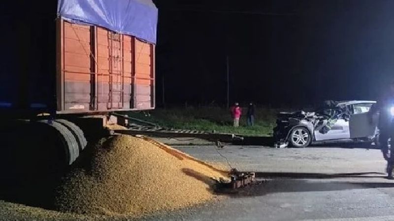 La justicia excarceló al camionero implicado en la muerte de un médico y su hijastro en Ruta 88