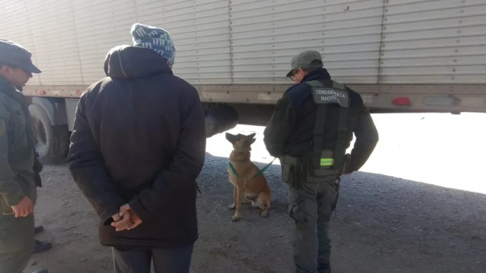 Un perro de antinarcóticos detectó más de 40 kilos de cocaína ocultos en un camión internacional