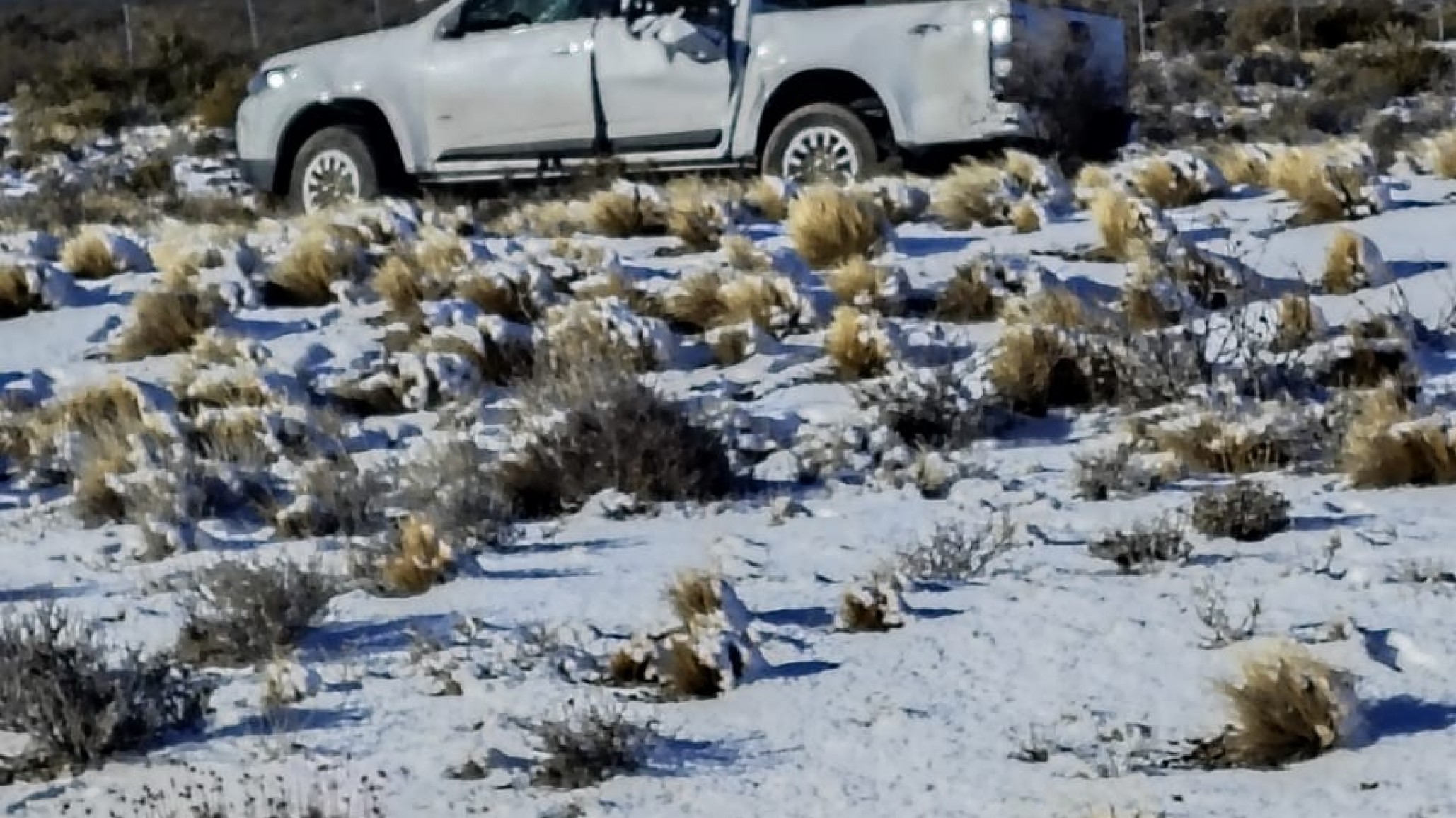 Habló el camionero que auxilió a la diputada Tamame: "Para mí venían fuerte y la ruta estaba fea"