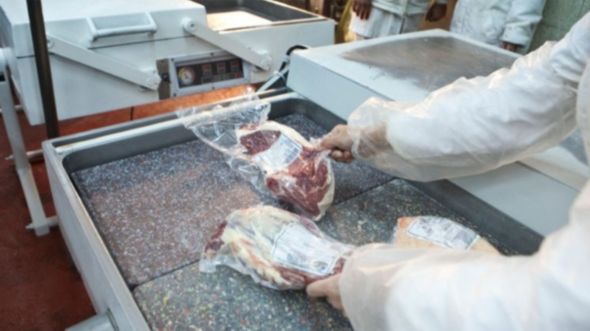El asado con hueso llega a la Patagonia: 縬ue habilita la medida de Naci髇?