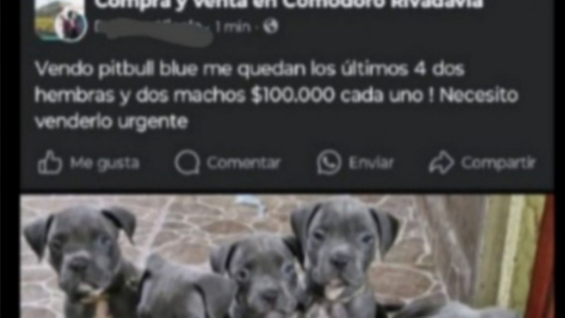 Una vecina alerta por estafa con dirección falsa usando su casa: "Por favor, no señen nada ni caigan, no es acá"