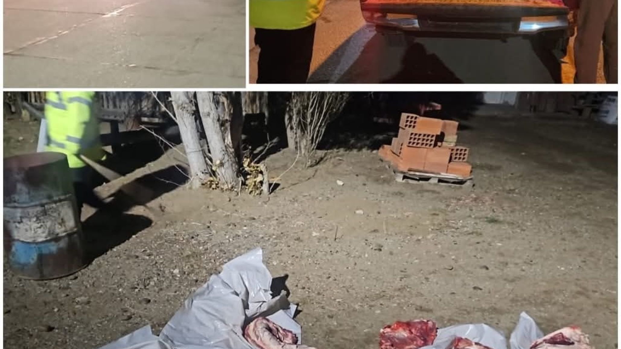 Secuestraron 70 kilos de carne de dudosa procedencia en un control