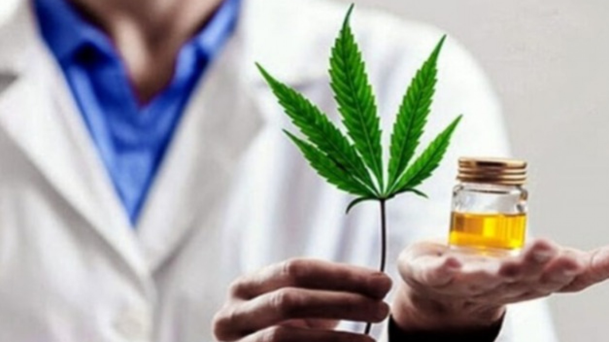 Alexis Tögel: "La eliminación de los programas de cannabis medicinal es un retroceso que pone en riesgo la salud de muchas personas"