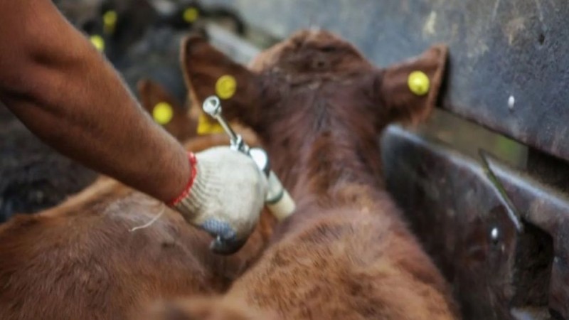 El sector rural de toda la Patagonia en pie de guerra contra Nación por la liberación de la barrera sanitaria