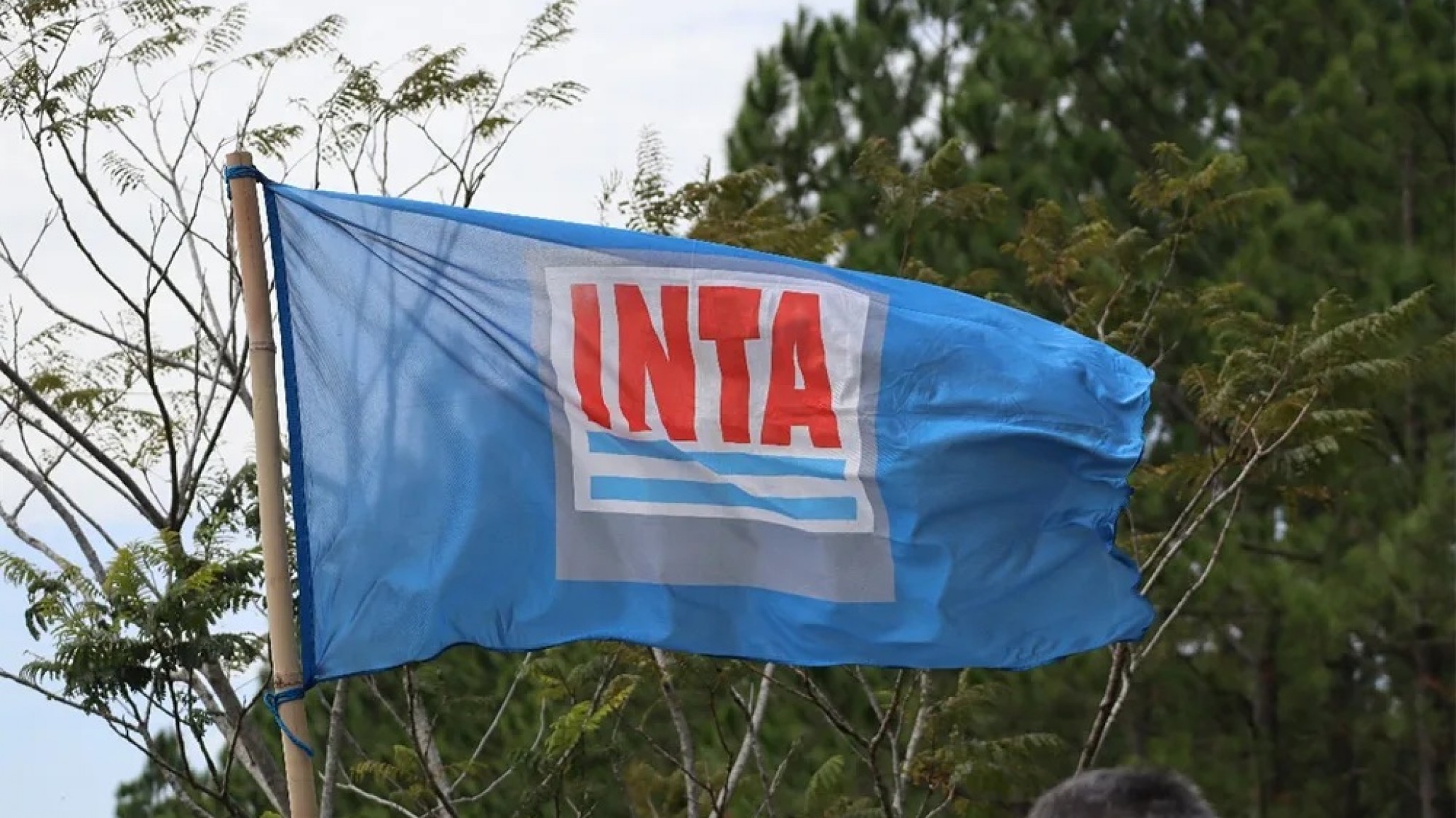 La Justicia Federal frenó el decreto que afectaba a trabajadores del INTA
