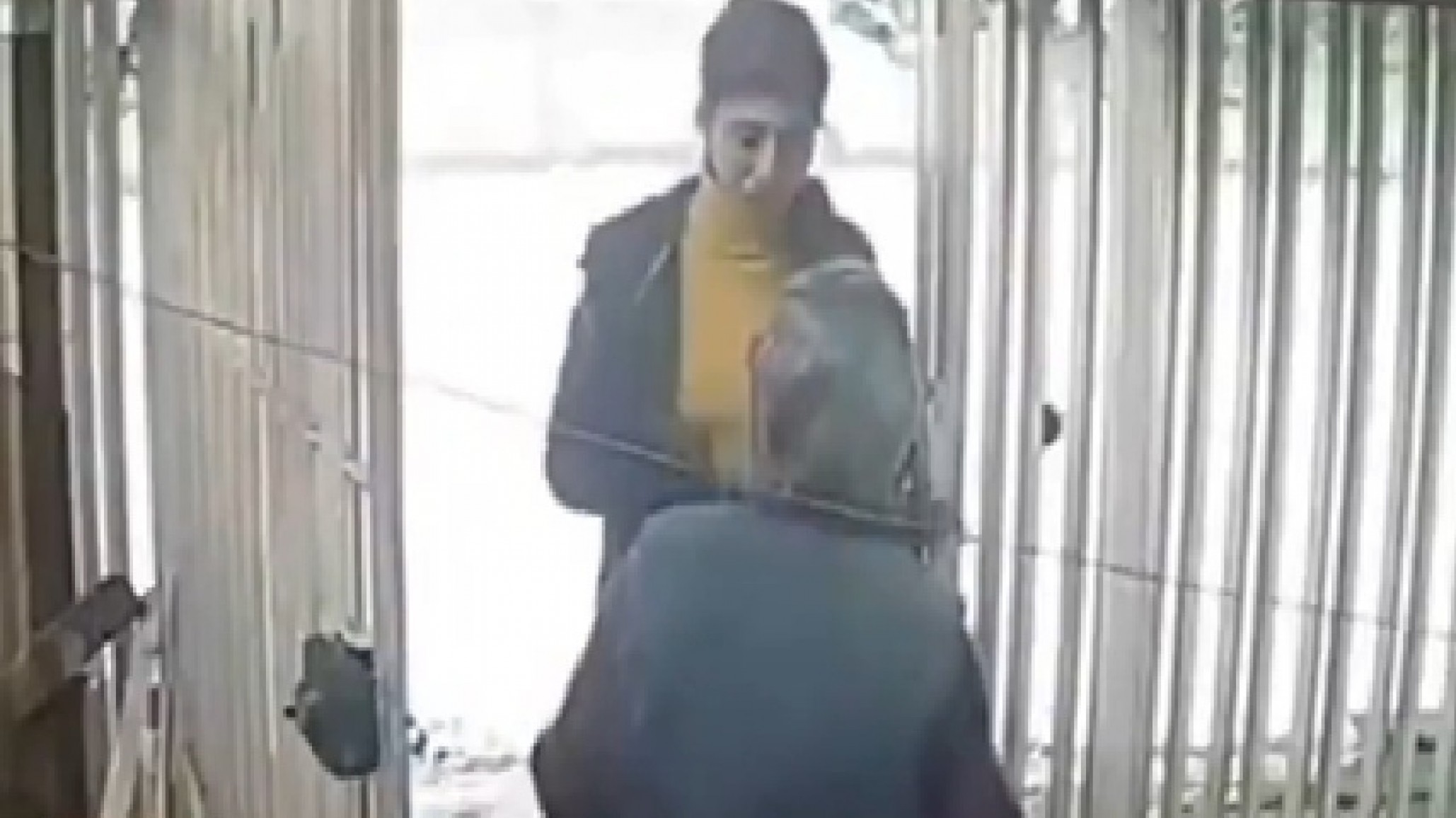 Indignante robo en Chile: Engañó a una anciana de 92 años y le robó su pensión, joyas familiares y ahorres