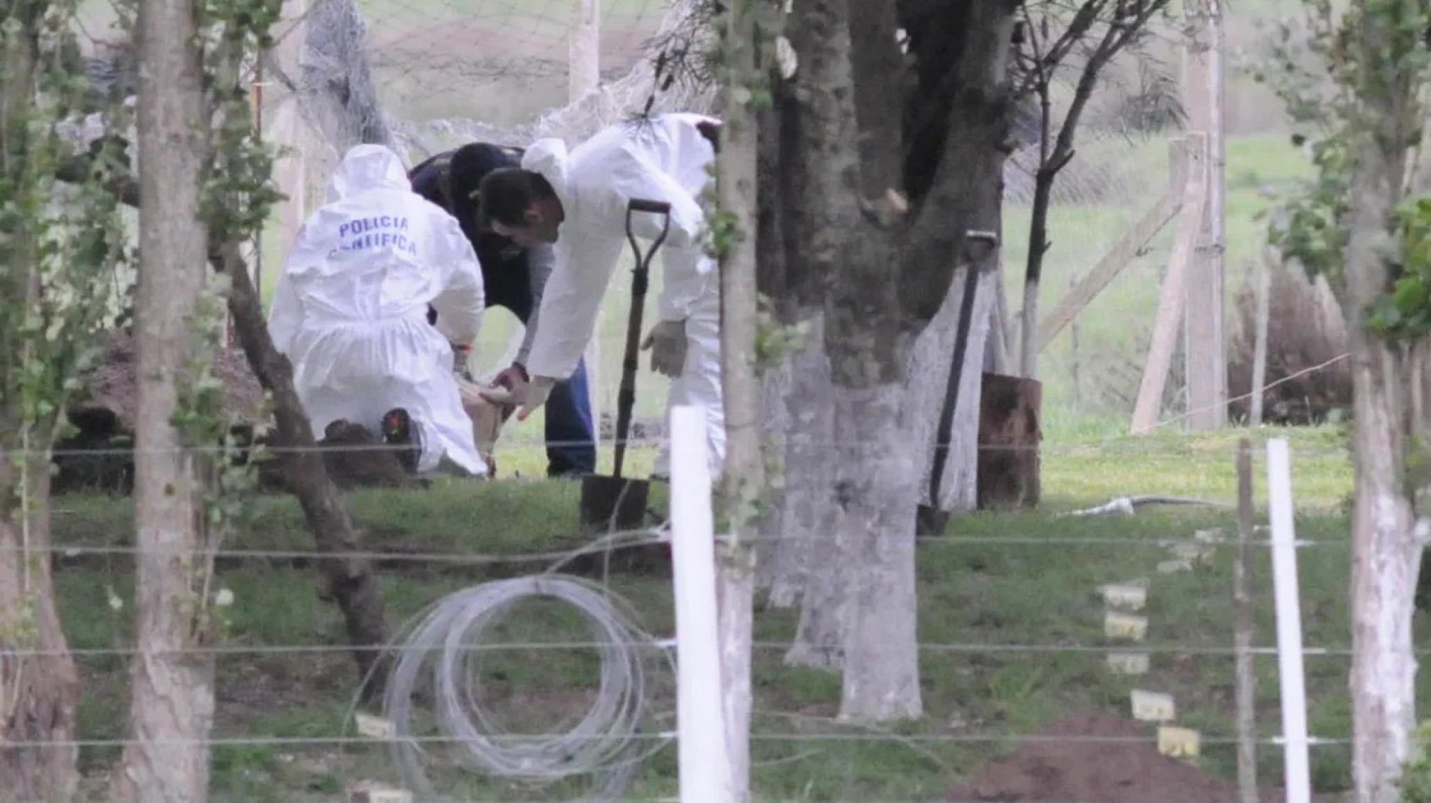 "Ladraban pero no mordían": hablaron los dueños de los perros tras la muerte del niño de 2 años