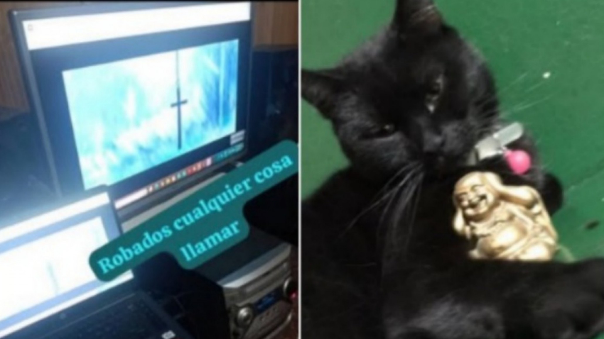Le desvalijaron la casa y desapareció su gata: pide ayuda para recuperar sus pertenencias y a "Reyna"