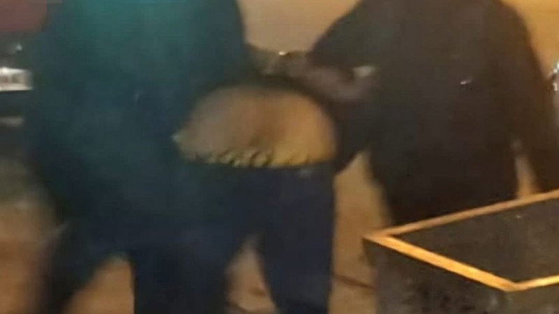 Tarde de furia: se negó a la exclusión del hogar y agredió a una policía