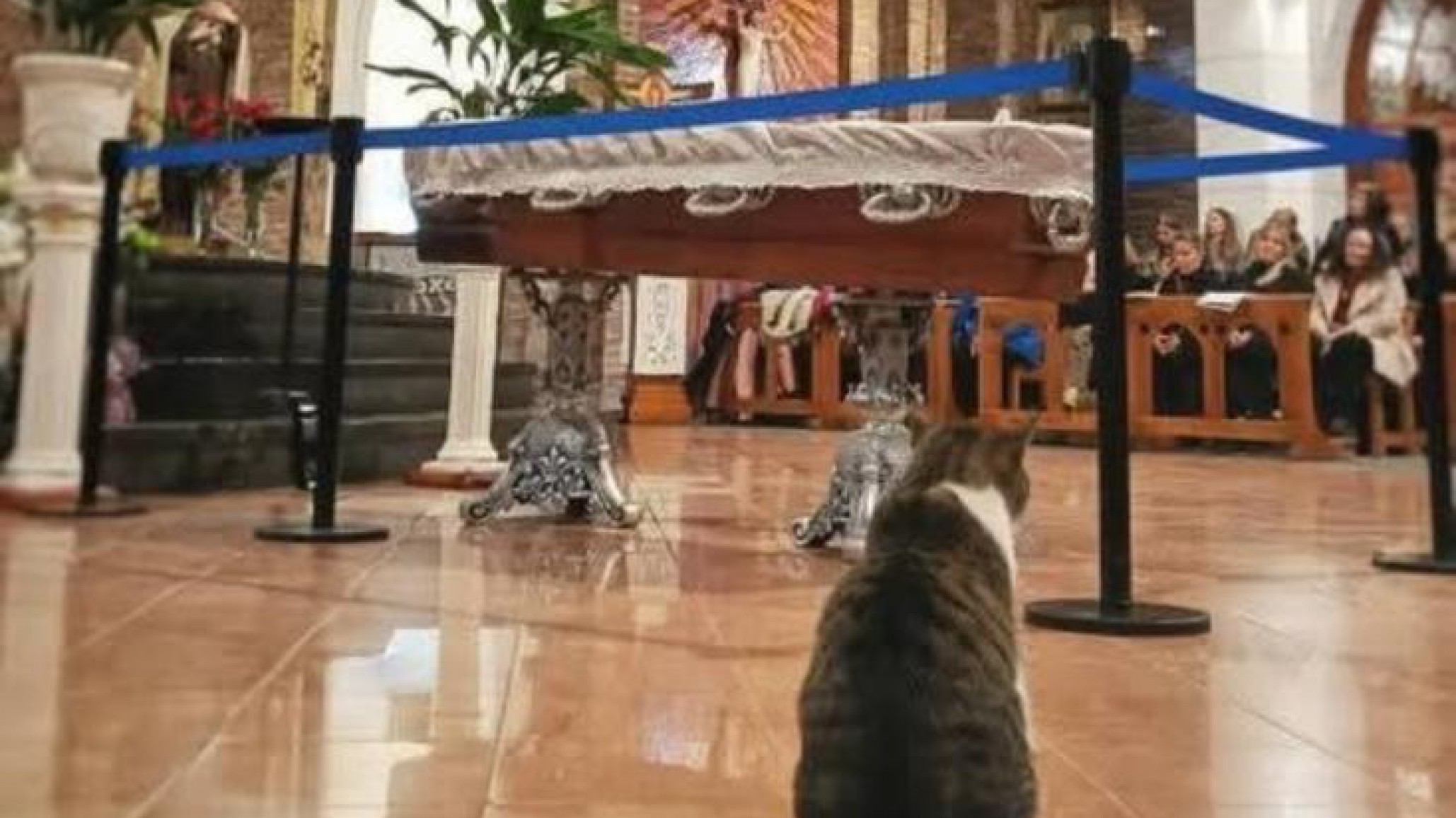 Falleció un querido párroco a los 76 años: su gato Pascual lo despidió en el velorio