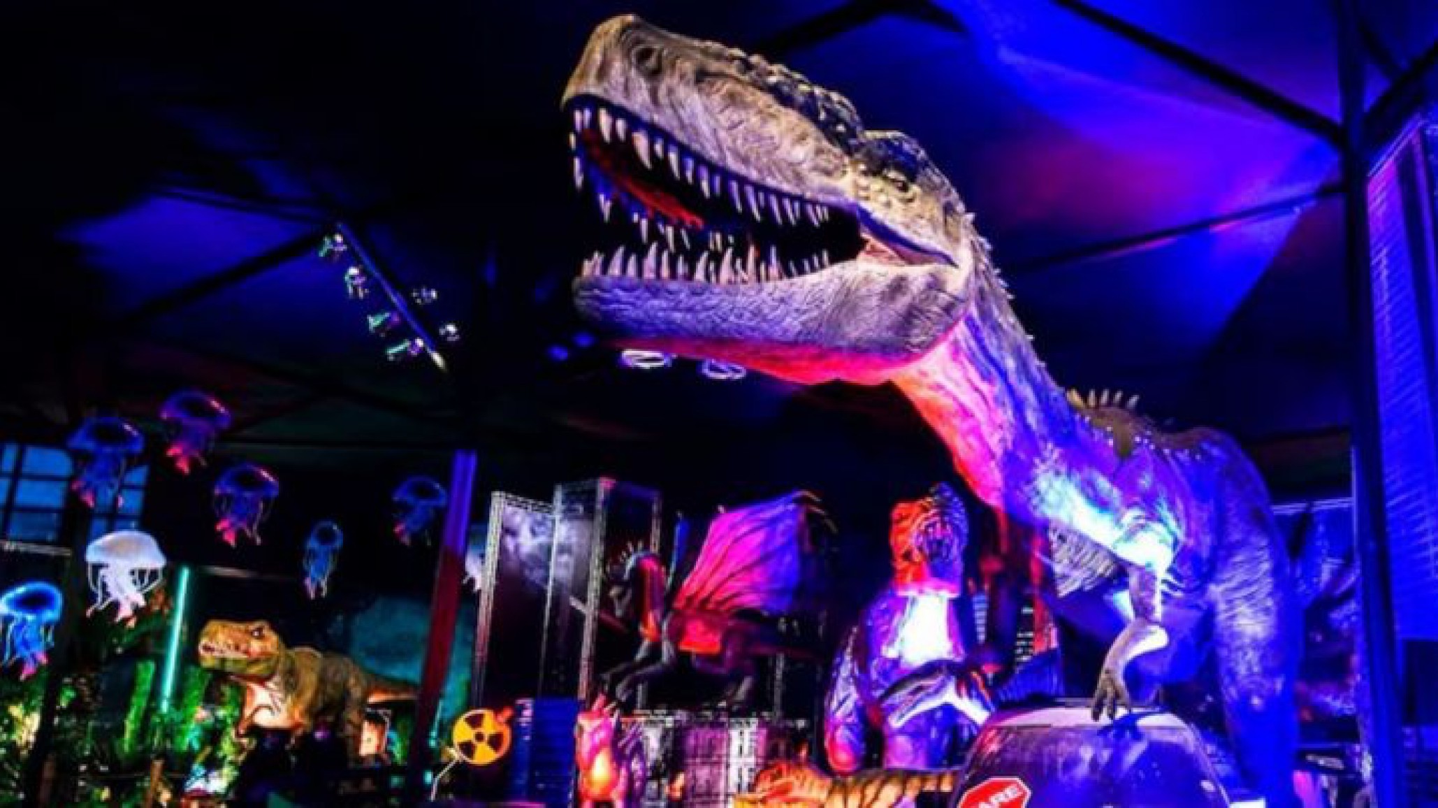 Una mujer embarazada de 7 meses, se descompensó en un espectáculo para niños y murió