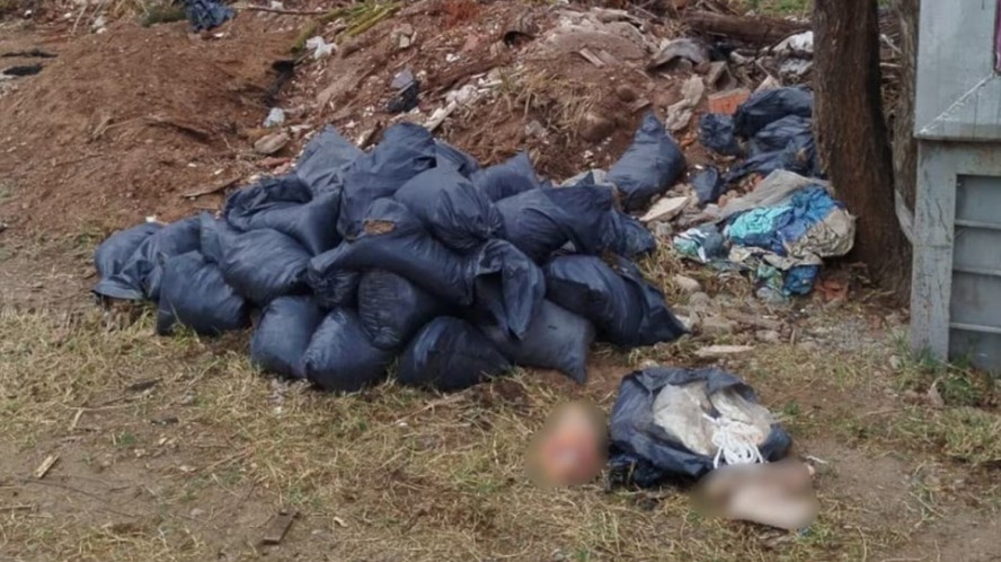 Macabro hallazgo en Córdoba: un sereno encontró restos humanos en una bolsa de consorcio
