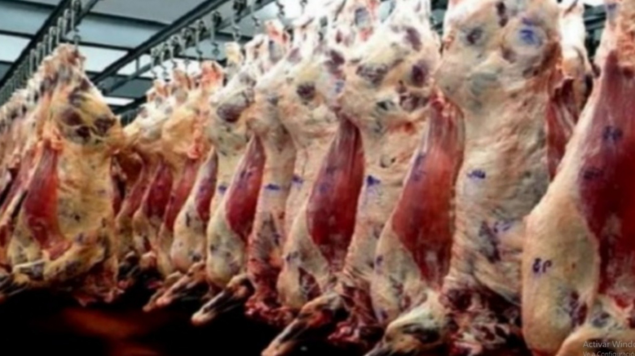 "La apertura de la barrera perjudica 20 años de trabajo sanitario en la Patagonia", advirtió Osvaldo Luján