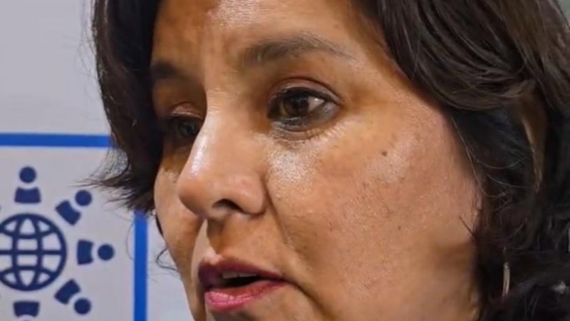 Tras el caso del nene con autismo en un instituto de inglés, piden que docentes y profesionales asistan a jornadas sobre TEA