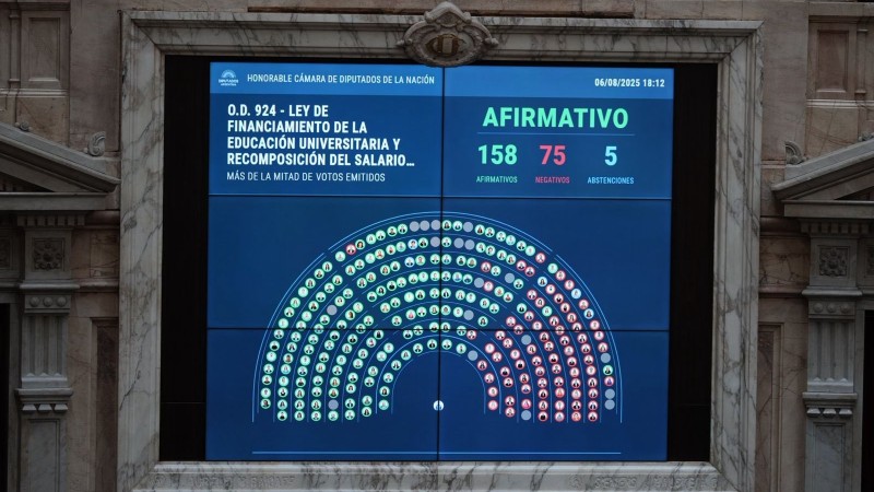 Diputados aprobó la ley de financiamiento universitario: Ana Clara Romero se abstuvo