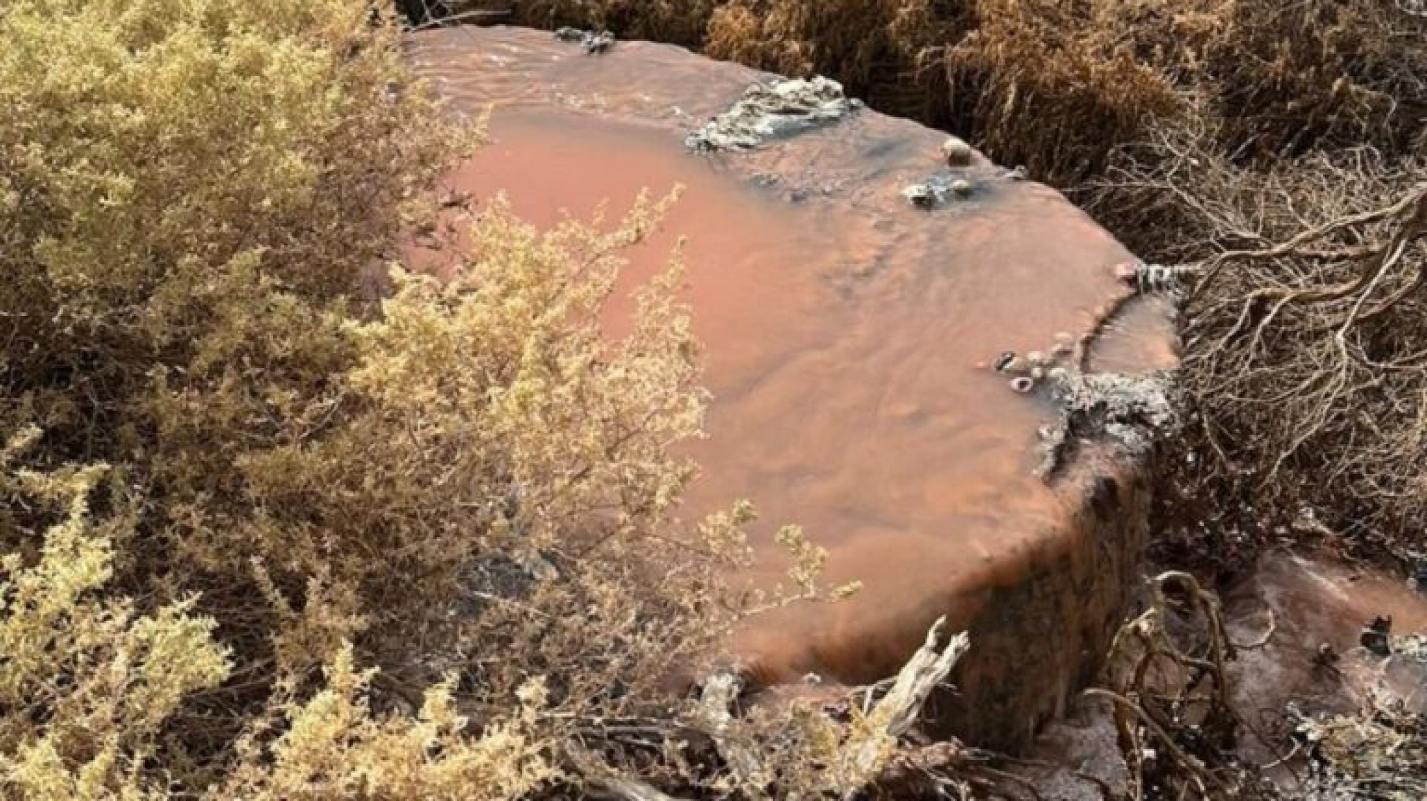 Contaminación en Puerto Madryn: Comenzó el juicio a directivos de Conarpesa por vertidos sin tratar al Golfo Nuevo