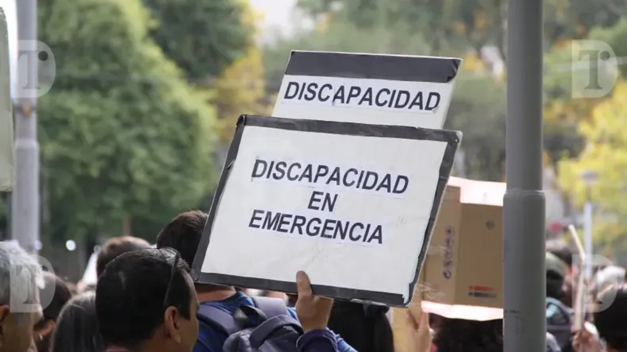 Declararon inconstitucional el veto presidencial a la Ley de Emergencia en Discapacidad