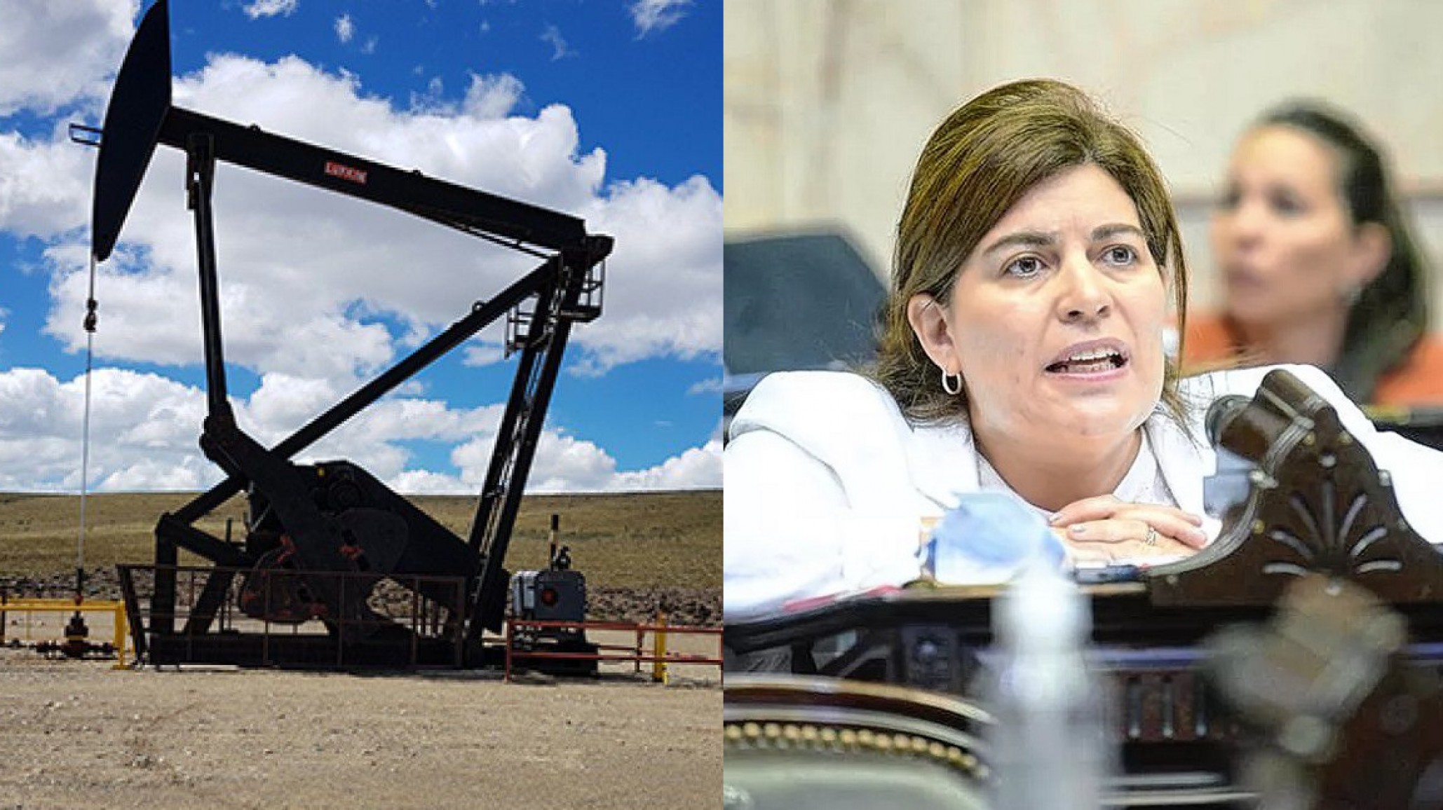 Crisis hidrocarburífera: Ana Clara Romero confirmó que Crown Point se va de Chubut antes de empezar