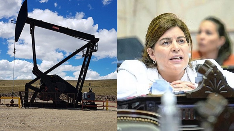 Crisis hidrocarburífera: Ana Clara Romero confirmó que Crown Point se va de Chubut antes de empezar