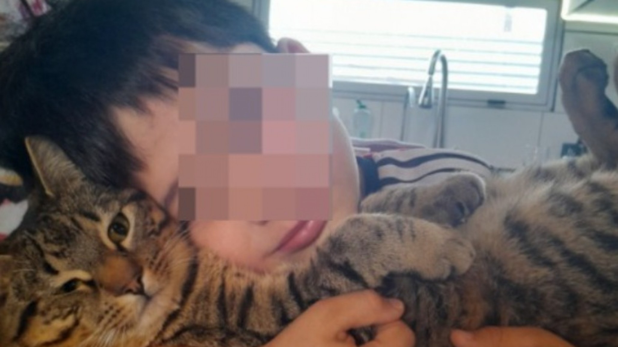 "Seguimos buscando a Miguelito, mi hijo lo extraña mucho": buscan a un gatito perdido en km 14