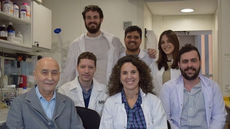 Científicos argentinos del CONICET utilizaron IA y dieron un paso clave contra el Alzheimer