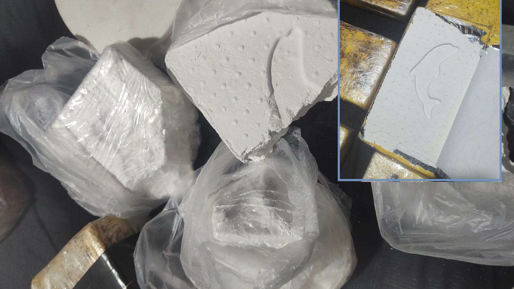 20 kilos de cocaína con el sello de un delfín: megaoperativo en los barrios Stella Maris y LU4